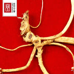 Certificated Changbai Mountain Ginseng 35-40-year-old Whole Root Wild Mountain Ginseng Gift Box,CBM Ginseng.