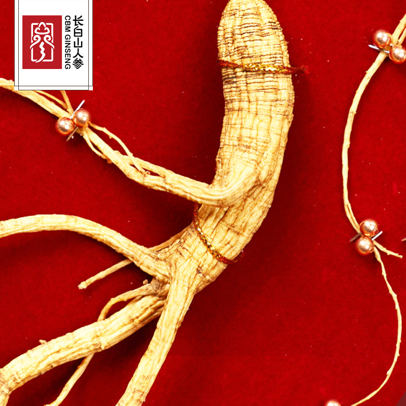 40-45-year-old wild mountain ginseng