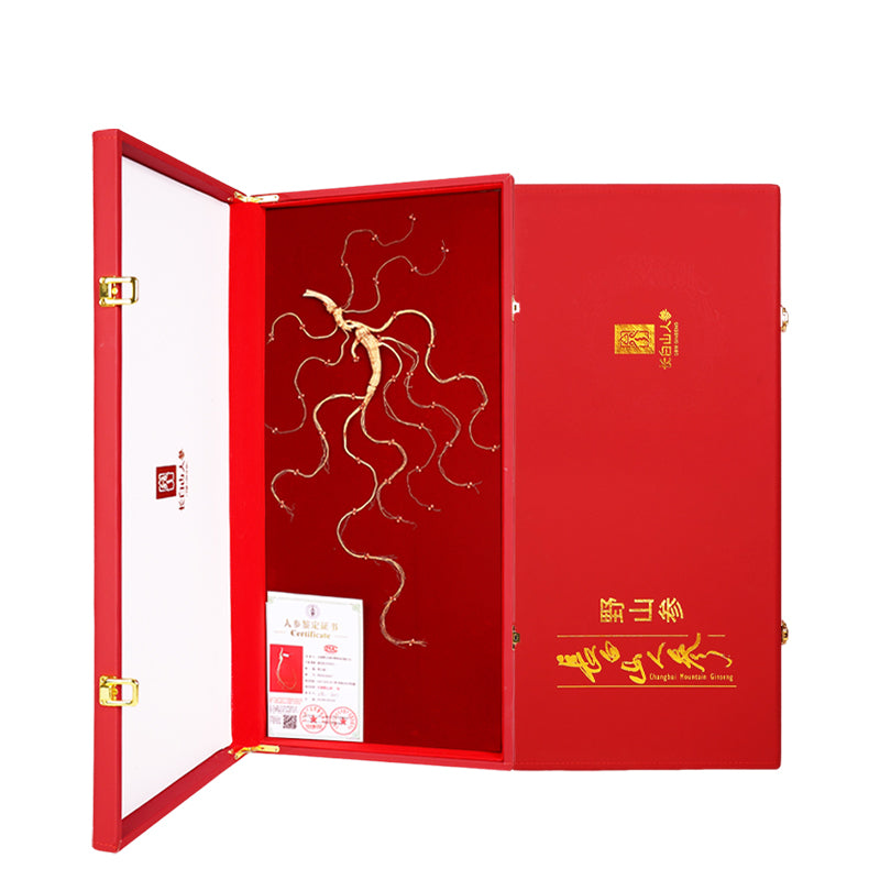 35-40-year-old wild mountain ginseng