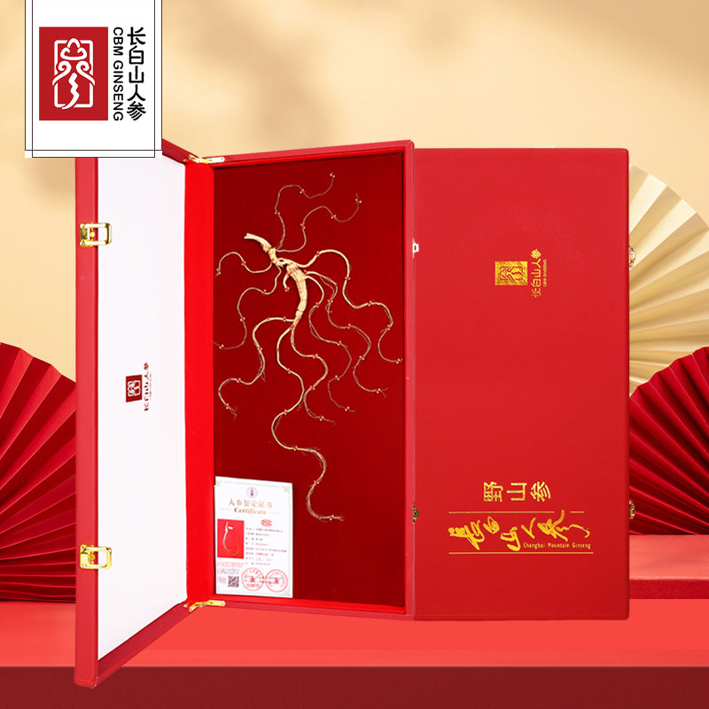 40-45-year-old wild mountain ginseng